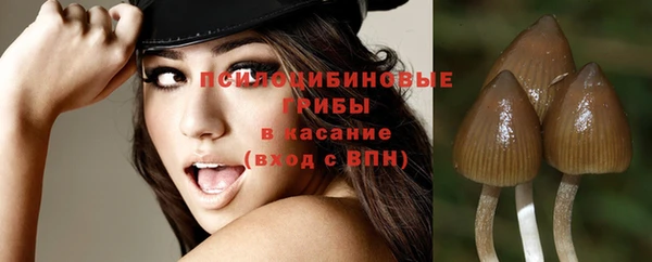 альфа пвп Белокуриха