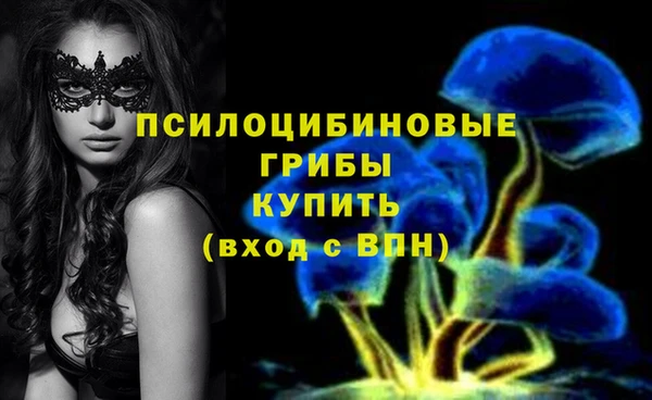 MDMA Беломорск